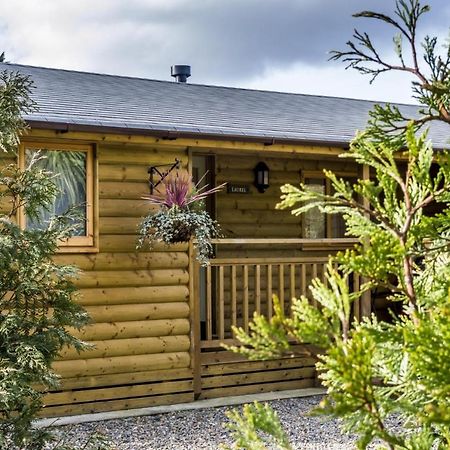 Laurel Lodge - 2 Bedroom Log Cabin - St Florence Saint Florence Exteriör bild